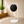 Modern business pathway sign with a black sign white board in a room with a plant and wooden shelf.